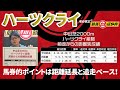 【ハーツクライ】 馬券的ポイントは距離延長と追走ペース！