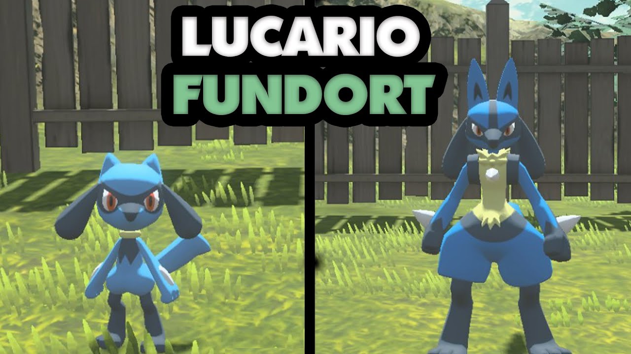 So bekommt ihr Riolu in Pokémon Legends Arceus + Entwicklung zu Lucario