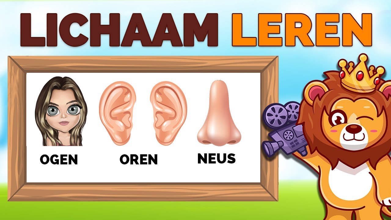Leer Je Kind Alle Lichaamsdelen! 👀👂 | Lichaamsdelen Leren |  NL✅