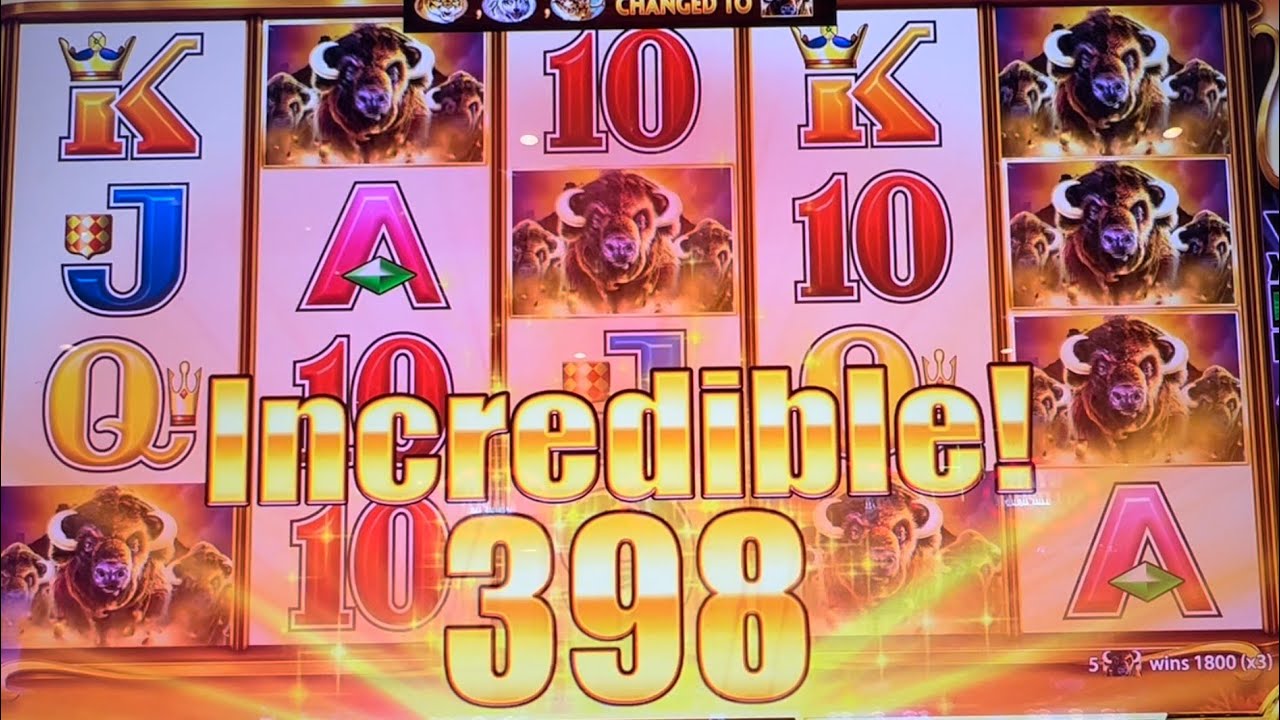 Nice Buffalo hit at max bet