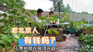 老北京人有钱 房子多走进老北京人的真实生活 看非遗传承做蜡果