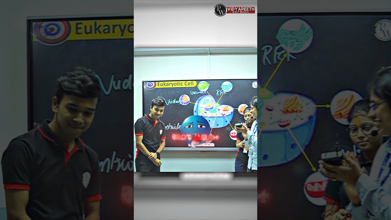 Bro Aura On Top 🥶😜 