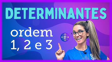 DETERMINANTES ORDEM 1, 2 e 3 | REGRA DE SARRUS | MATRIZ