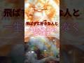 #恋愛成就 #恋愛 #運命の恋 #復縁 #恋のはじまり #恋が叶う音源 #占い #shorts