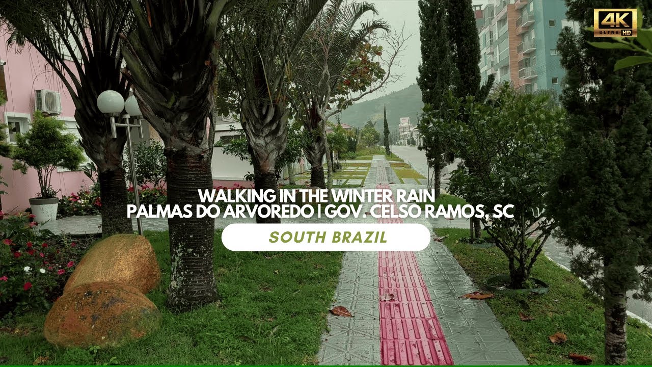 Walking in the Winter Rain — Palmas do Arvoredo | Gov. Celso Ramos, SC (South Brazil) | 4K