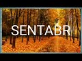 SENTABR Oyida Tugilgan Insonlarni Harakterlari Va Ular B N Qanday Muomala Qilish Kerak OTABEK BANDA SENTABR Oyida Tugilgan Insonlarni Harakterlari Va Ular B N Qanday Muomala Qilish Kerak OTABEK BANDA
