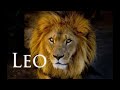 #LeoSeason ♌️ LEO EXPOSED: THE GOOD, BAD, AND UGLY