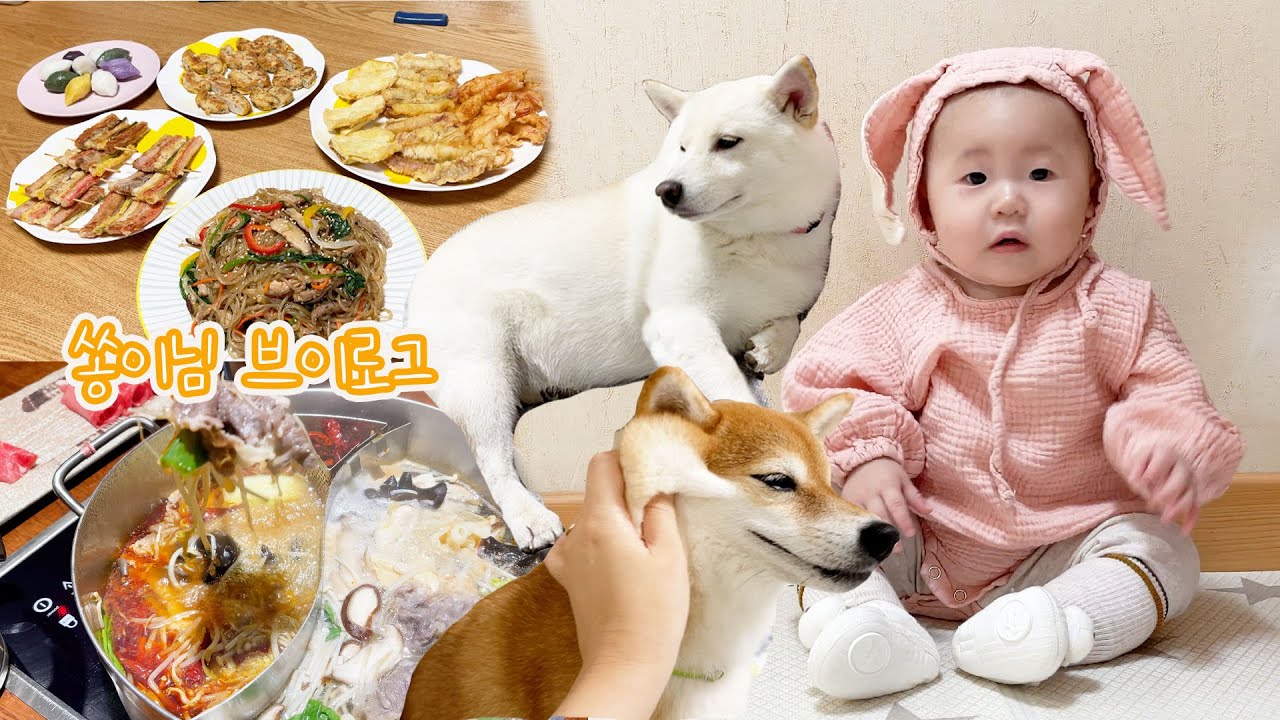 추석 음식 해먹기 / 수원 아기랑 월화원 감성 산책 / 훠궈야 먹방 / 목살 스테이크 / 이마트 트레이더스 쇼핑 / 부곡근린공원 산책 / 8개월 아기 브이로그