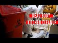 Dead Body Kitchen Cleanup | Venice, FL