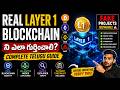 Real Layer 1 Blockchain ని ఎలా గుర్తించాలి? | Full Telugu Masterclass