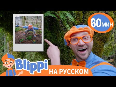 Родные Просторы 🌱🍃 | Обучающие песни для детей | Blippi Russian