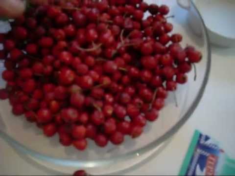 Video: Marmellata Di Biancospino