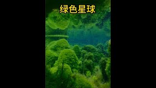 跟随镜头 带你感受下BBC神级纪录片绿色星球 全程美到爆炸! #每一帧都是壁纸 #绿色星球 #治愈系风景