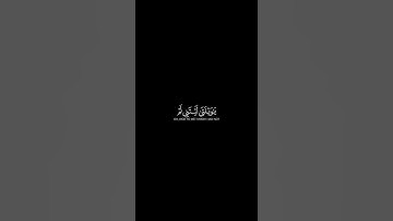 ويوم يعض الظالم على يديه - سورة الفرقان - القارئ طارق محمد || القرآن الكريم شاشة سوداء 🌱