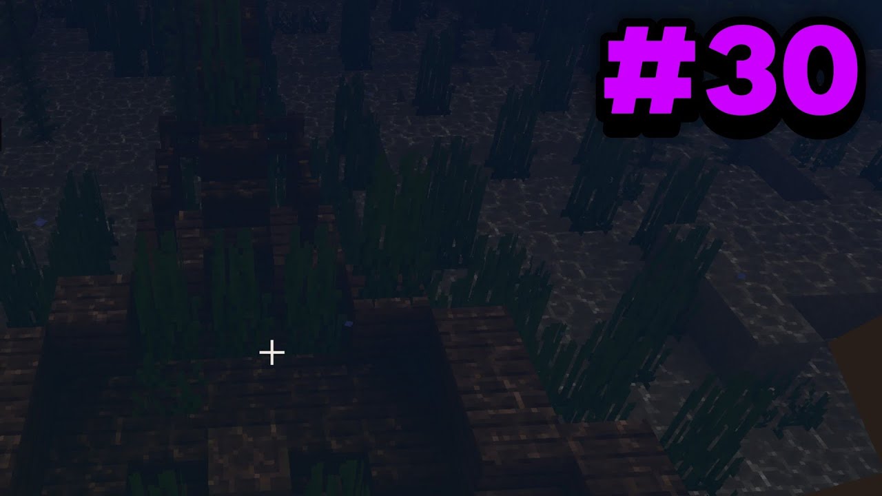 Survival #30 Cerco l armatura del Nautilus