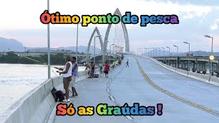 PESCARIA NA PONTE DA ILHA - BRT