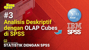 Statistik dengan SPSS # 3: Analisa Deskriptif dengan OLAP Cubes di SPSS