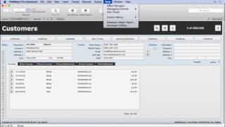 FileMaker Plug-ins Net Worth