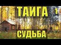 ЗАБРОШЕННАЯ ИЗБА ЛЕСНИКА ОТШЕЛЬНИК ХОЗЯИН в ТАЙГЕ СУДЬБА ИСТОРИИ из ЖИЗНИ в ЛЕСУ в ДЕРЕВНЕ РАССКАЗ 1