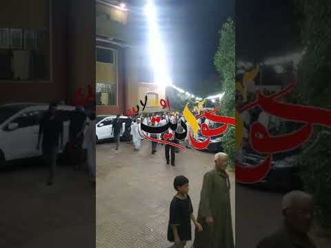 شاهد بالفيديو .. الطريقة البرهانية الدسوقية الشاذلية تحتفل بالمولد النبوى الشريف فى الحوامدية