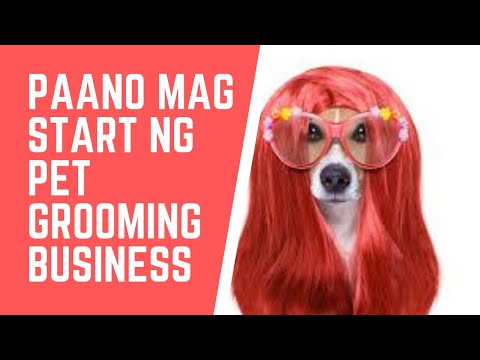 PAANO MAG START NG PET GROOMING BUSINESS