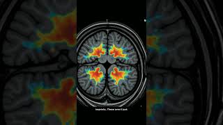 Vanessa Bryant's Echo: The Science of Enduring Memory