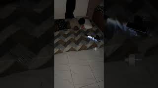 Happening Now Queen D0N Entèr An0Ther Wahala Oo