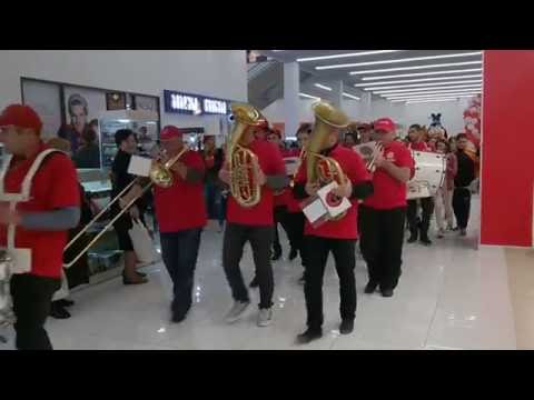The march საზეიმო მარში