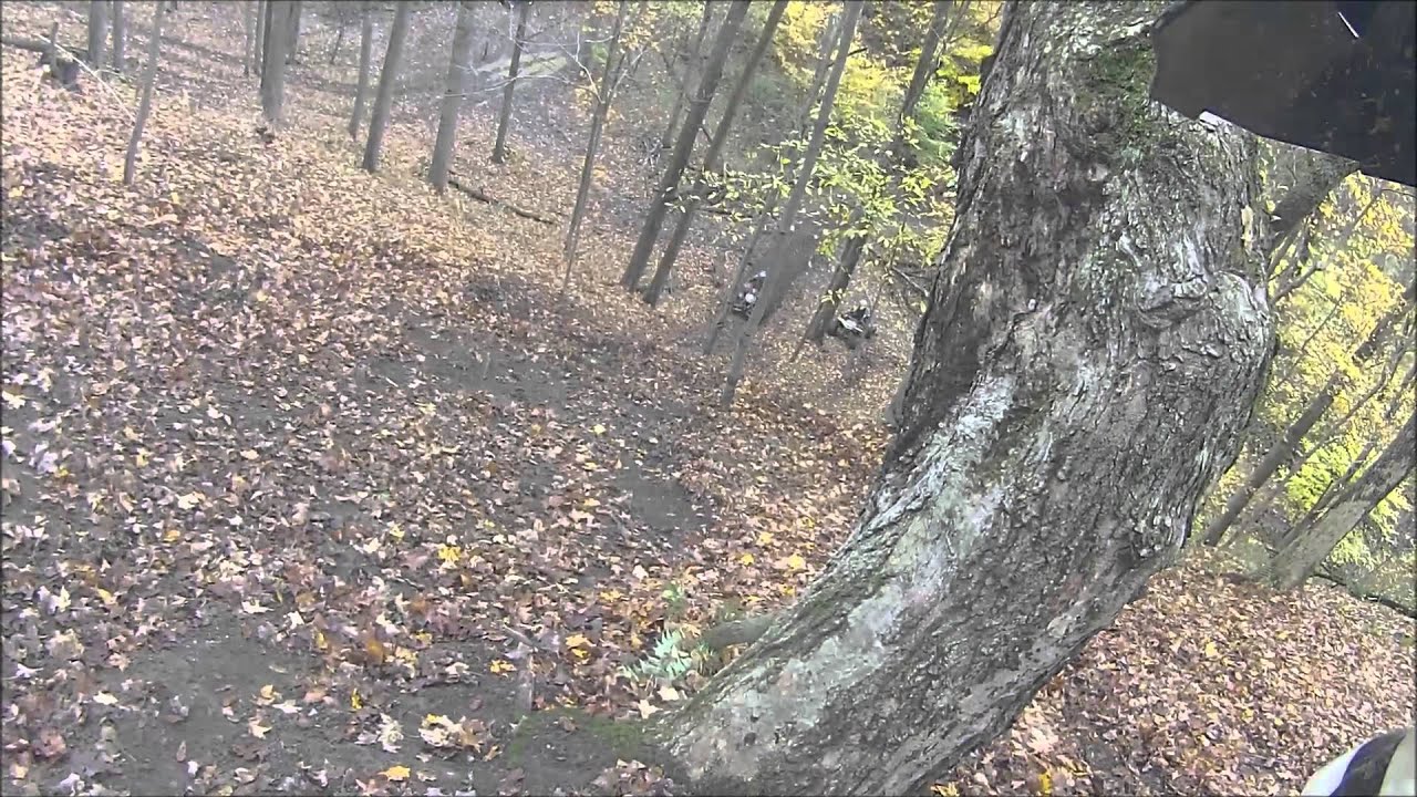 coal hollow batman hill