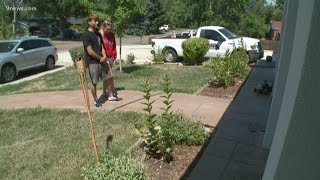 Armed burglary suspect in Lakewood not found after day-long hunt
