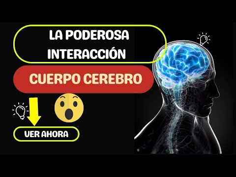 La Verdad detrás de la Interacción Cuerpo Cerebro