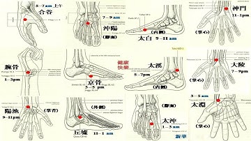 YUAN SOURCE POINTS (Spiritual Axis Chapter 1)