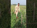 দুই ফসল এক সংঘে