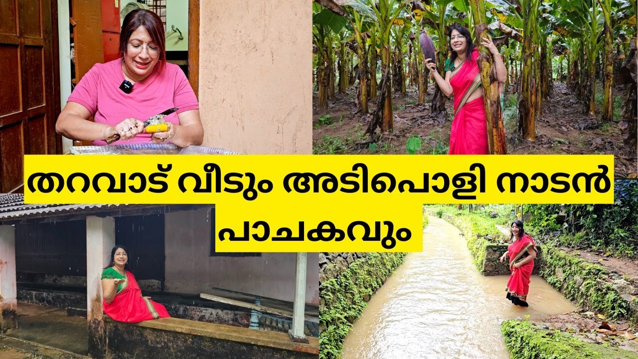 കുടുംബ വീട്ടിലെ മഴ കാഴ്ചകളും കൃഷി തോട്ടവും അടിപൊളി കൂമ്പ് അച്ചാറും | Visit to my VIllage | Pickle