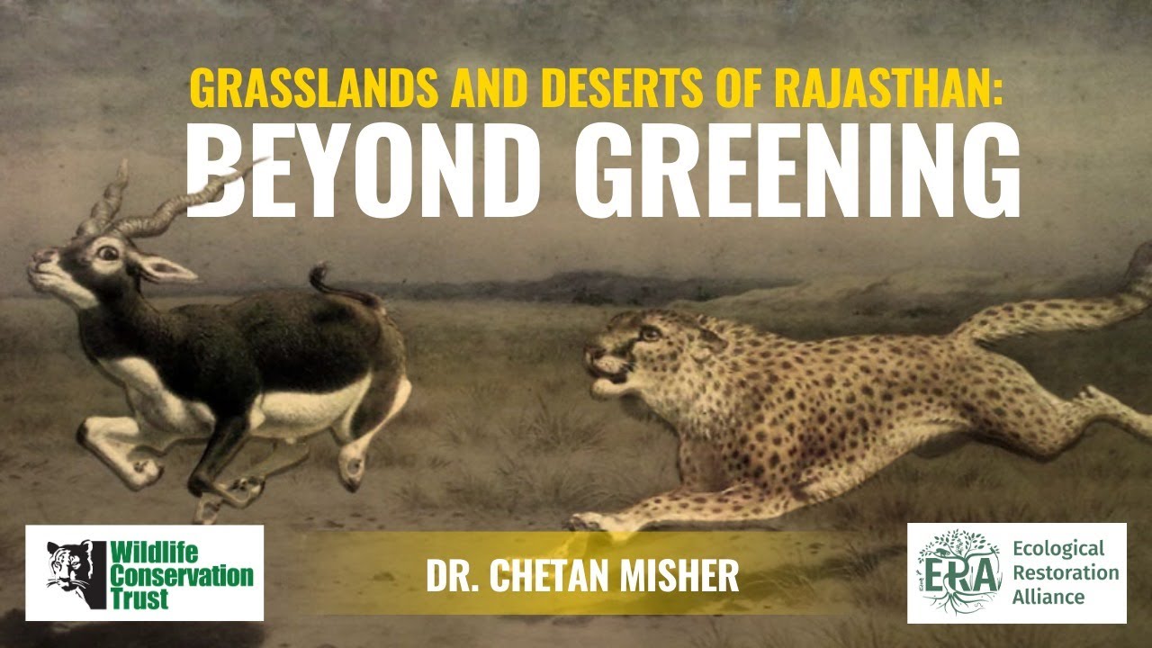 Grasslands and Deserts of Rajasthan: Thinking Beyond Greening