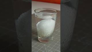 Celebrity Egg Vs Vinegar Wealth