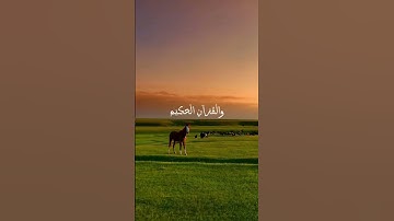 #سورة_يس #quran #explore #allah #اسلام #islam #اكسبلور #alhamdulillah #exploreislam #حالات_واتس