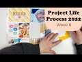 Project Life Process 2022- Week 8