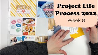 Project Life Process 2022- Week 8