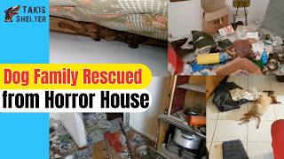Dog Family Left Starving in an Abandoned House… Anna's Rescue Story - Takis Shelter