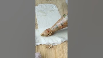 The new way of wrapping lumpia#food#shorts