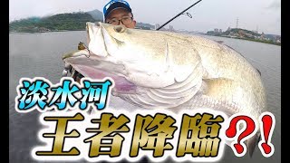 River Monsters 淡水河巨大魚出沒釣魚人請注意帶你尋找傳說中 ... 