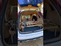 Must-Have Car Camping Hack: The Ultimate Foldable Tailgate Table! 🚗✨ #shorts