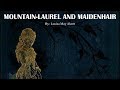 Learn English Through Story - Mountain Laurel and Maidenhair by Louisa May Alcott