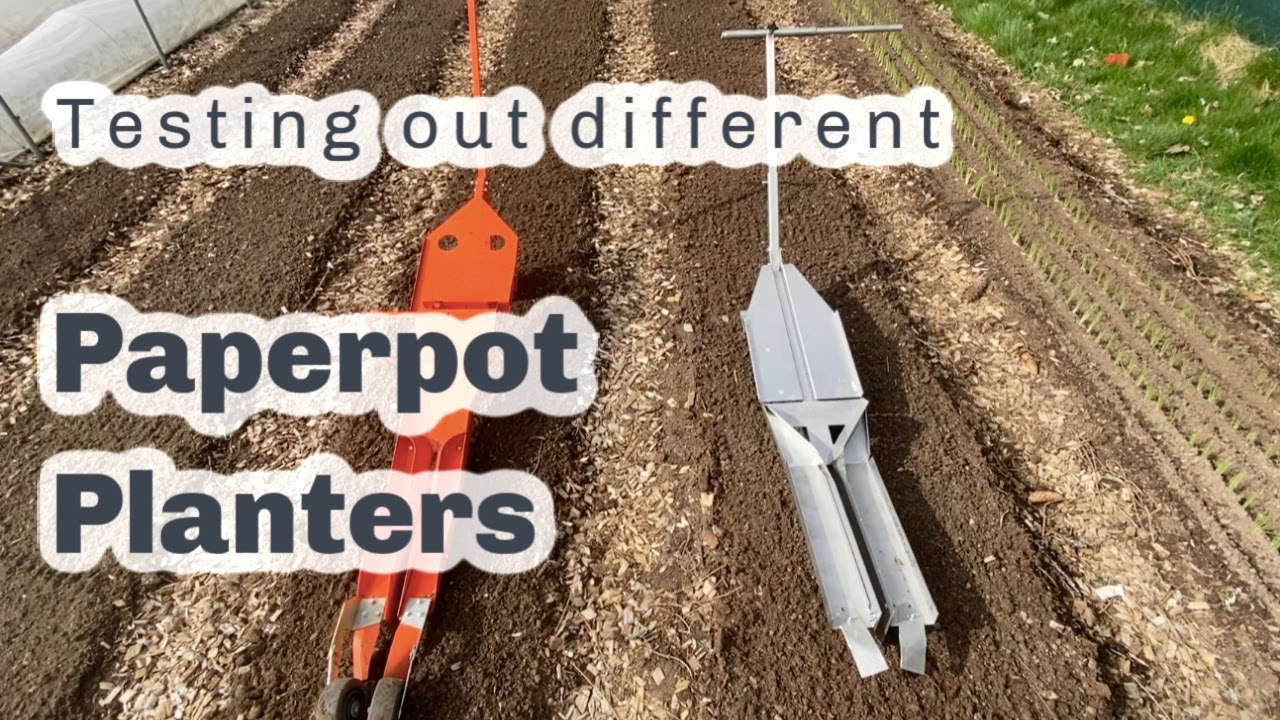 TESTING PAPERPOT PLANTERS