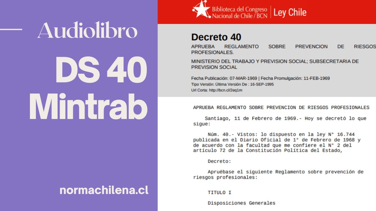 Audiolibro Decreto 40 MINTRAB - YouTube