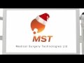 Holiday wishes from mst