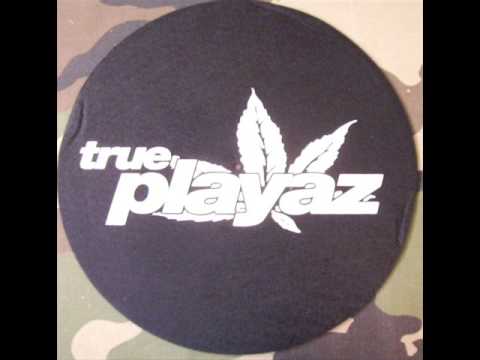 Pascal - Downtown Exposure