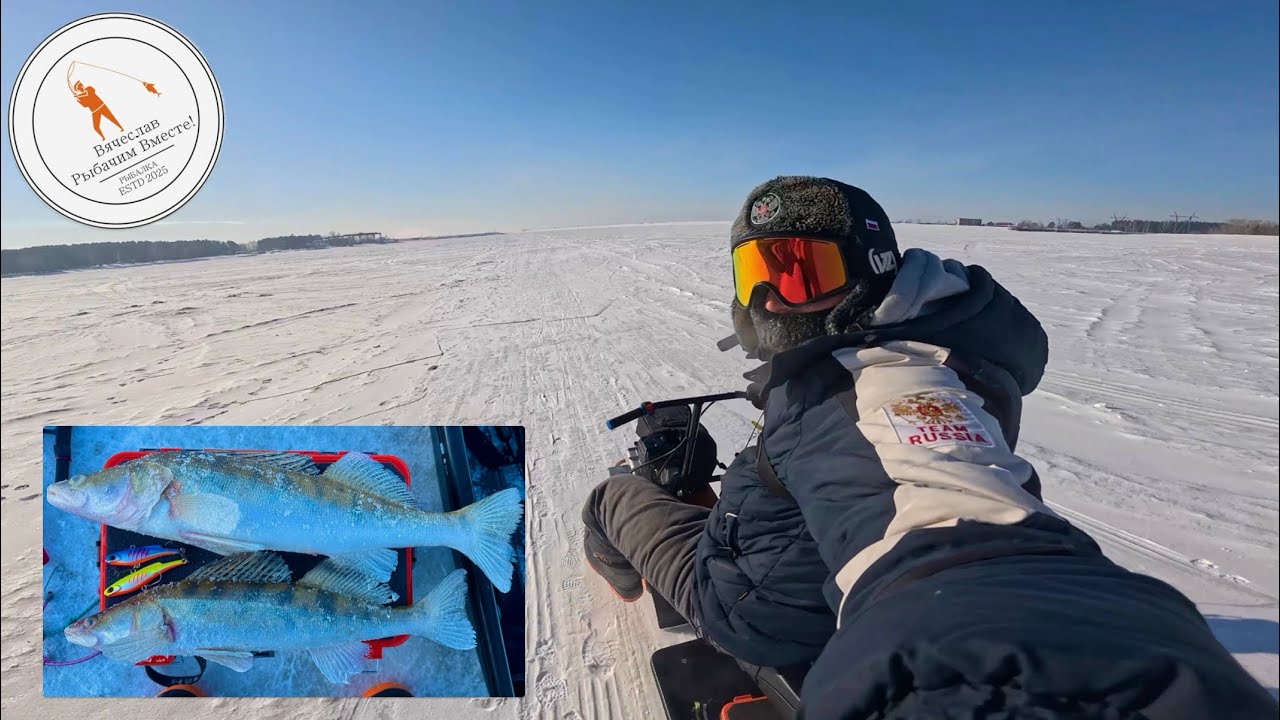 Судак на ОВХ | Район Тайваня | Когда каждая поклёвка на вес золота!🎣