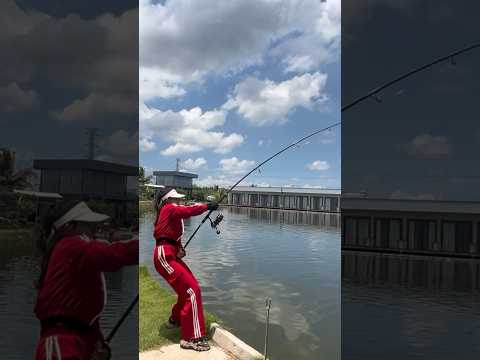 Mọi người đoán xem là cá gì nha #cauca #fishing #câucá #caucagiaitri